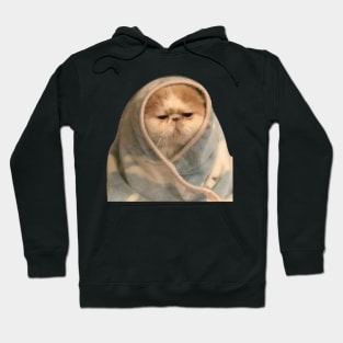 cat in a bad mood with blanket. Hoodie